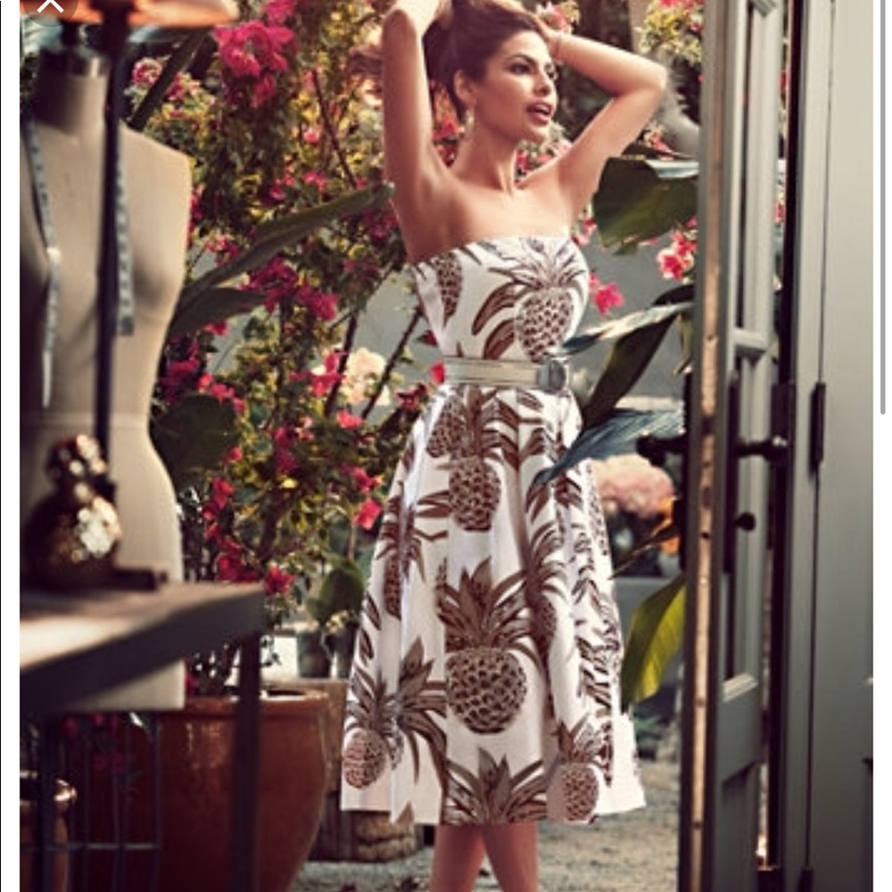 NWOT Eva Mendes Del Mar Pineapple Dress